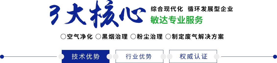 日本插逼网站敏达环保科技（嘉兴）有限公司